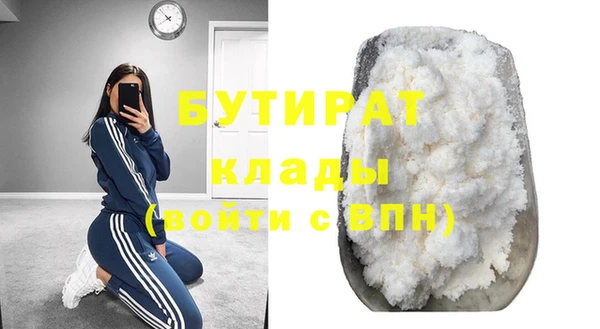 индика Алзамай