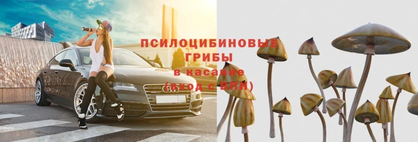 индика Алзамай