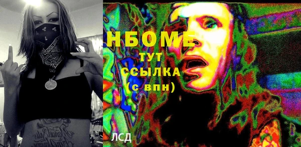 индика Алзамай