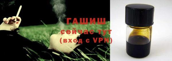 индика Алзамай