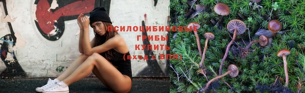 индика Алзамай